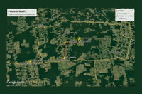 Fazenda Buriti IV com 122,55 Hectares em Nova Monte Verde/MT