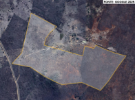 Sítio com 50 hectares em Boa Nova/BA