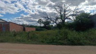 Terreno 393 m² em Cajazeiras - PB