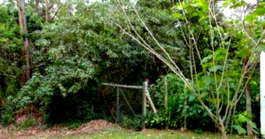 Terreno amplo no Jardim Algarve com 1.936m²
