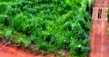 Gleba de 33,4522 hectares em Alto Horizonte-GO