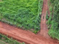 Gleba de 33,4522 hectares em Alto Horizonte-GO