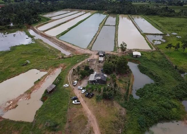 Imóvel Rural com Piscicultura em Alta Floresta D'Oeste