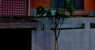 Casa em Leilão com 3 Quartos e Edícula em São Paulo