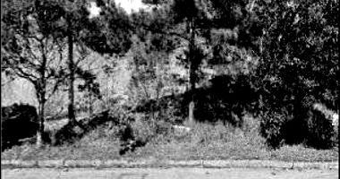 Terreno em Porto Alegre com Avaliação de R$ 170.000,00