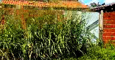 Casa com 3 Quartos em Teresina - Lot Mirante dos Morros III