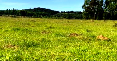 Fração de Terras com 51ha em Manoel Gomes
