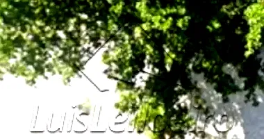 10% de Imóvel Residencial em Belo Horizonte