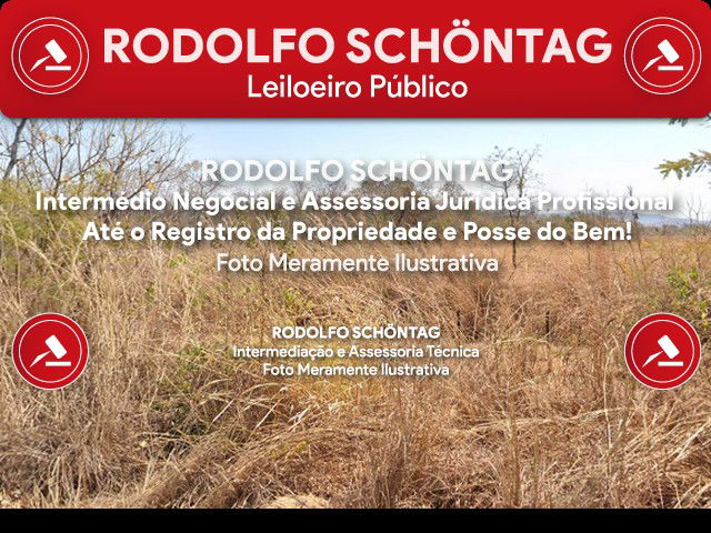 Fazenda Rural com 300,02 hectares em Arinos, MG