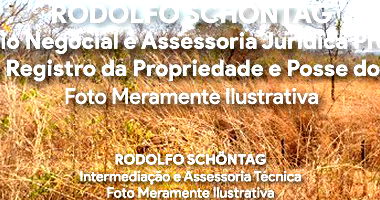 Fazenda Rural com 300,02 hectares em Arinos, MG