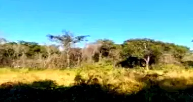 Terreno Amplo em Leilão - Vale do Igapó, Bauru/SP