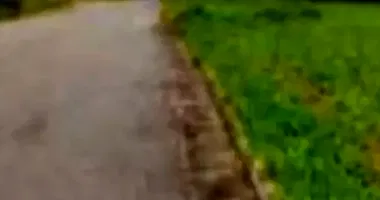 Terreno em Leilão - Residencial Sobradinho