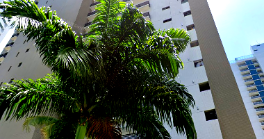 Apartamento com 58,86 m², 1 quarto, 1 banheiro, 1 vaga, ocupado