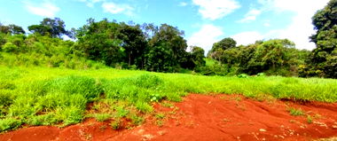 Imóvel Rural com 36.288,00 m² em Três Barras do Paraná