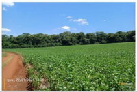 Terreno Rural com 9,480 ha em Redentora - RS