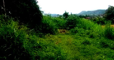 Terreno amplo com 0 quartos e 0 banheiros, área total 0 m²