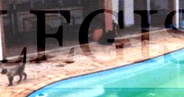 Residência com Ampla Área de Terreno em Botucatu/SP