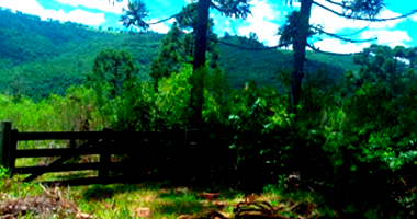 Terreno Rural com 98.784,50m² em Campestre da Serra/RS