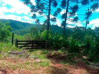 Terreno Rural com 98.784,50m² em Campestre da Serra/RS
