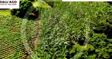 Engenho Mata Limpa com 116,94 hectares, área rural ampla