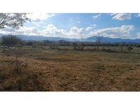 Terreno amplo de 188.563m² em Zona Rural com comodato
