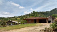 Terreno com 60ha, 3 casas, ranchos e estufas em Vitor Meireles