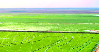 Fazenda Pouso Alegre com 181,36 Hectares em Miranda-MS