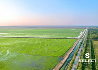 Fazenda Pouso Alegre com 181,36 Hectares em Miranda-MS
