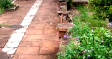 Imóvel com 494,90m² em São Carlos/SC