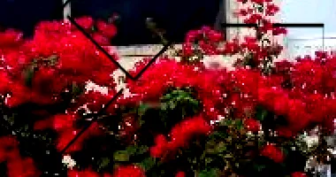 Apartamento com 2 quartos em Camaçari/BA