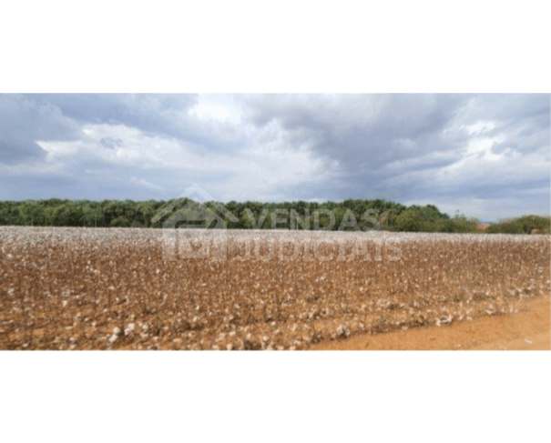 Comercial em Lucas Rio Verde - Grande Oportunidade