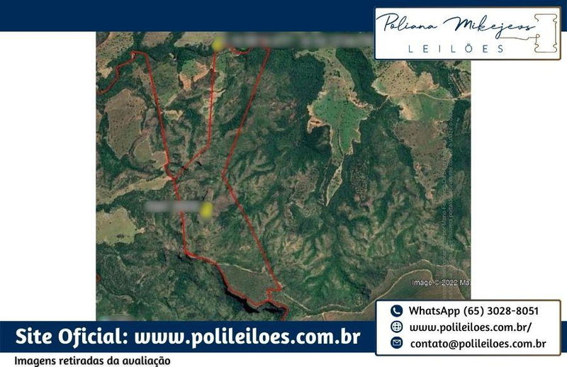 Fazenda Liderança em Pedra Preta - 194,46 hectares