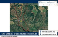 Fazenda Liderança em Pedra Preta - 194,46 hectares