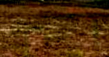 Terreno em Barra dos Coqueiros com 350m²