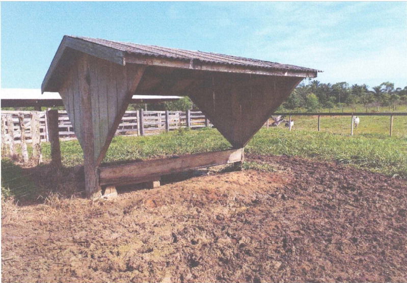 Lote Rural em Cujubim/RO com 121.000 m² e Potencial de Desenvolvimento