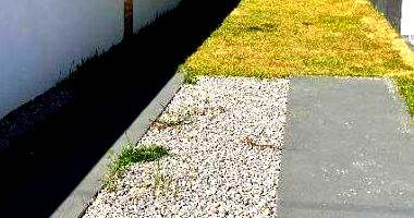 Casa Ocupada com 480 m² em Maricá - Oportunidade Imperdível