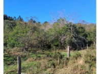 Terreno de 50.000 m² em Aldeia Velha, Santo Antônio da Patrulha