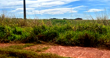 Terreno em Nova Alvorada do Sul - MS