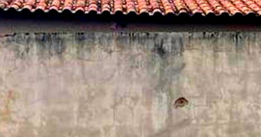 Casa Ocupada com 3 Quartos e 1 Vaga em Planaltina/GO