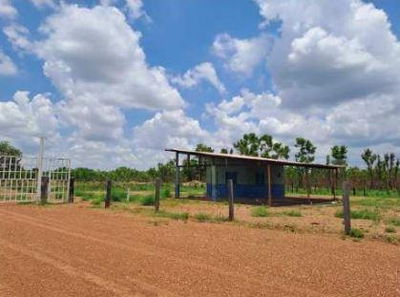 Fazenda de 242,99 Ha em Nossa Senhora do Livramento/MT