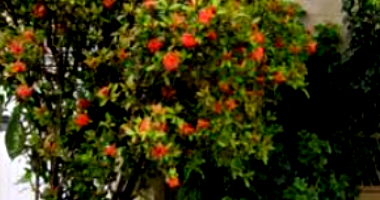 Prédio Residencial com 80m² de Área Construída