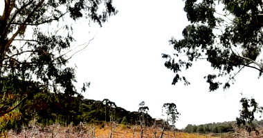 Ampla Fazenda com Pomar e Benfeitorias em Urubici/SC