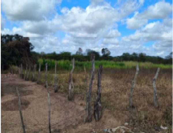 Terreno Rural em Cacimbinhas com Potencial Imobiliário