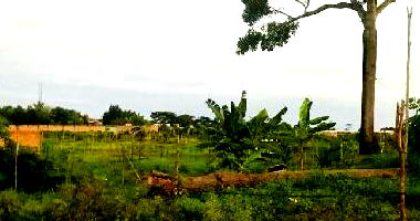 Terreno amplo com 14.038,87m², ideal para investimento