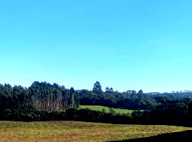 Terreno Rural com 96.800 m² em Mafra/SC