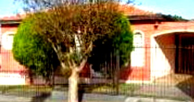 Casa com 3 quartos em leilão judicial - Vila Xavier/SP
