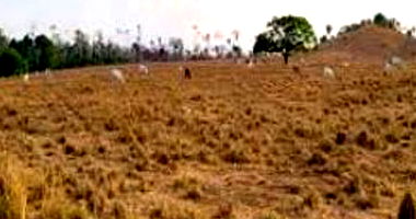 Fazenda Bom Sucesso Gleba B - Imóvel Rural