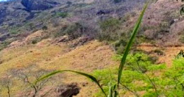 Área agrícola de 44.813 m² em Muniz Freire/ES