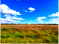 Espaçoso Sítio Rural com 484000 m² de Terreno Natural