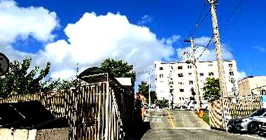 Apartamento 1 Quarto em Novo Hamburgo com 41,2m²